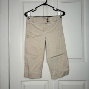 Ann Taylor Light Tan Trousers